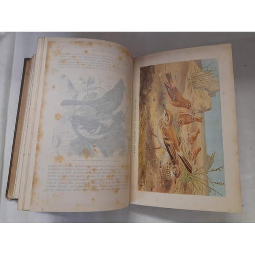 325 - First Edition 'The Royal Natural History' Edited by Richard Lydekker in 6 Volumes. Printed by Freder... 