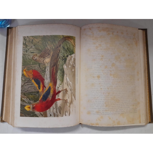 325 - First Edition 'The Royal Natural History' Edited by Richard Lydekker in 6 Volumes. Printed by Freder... 