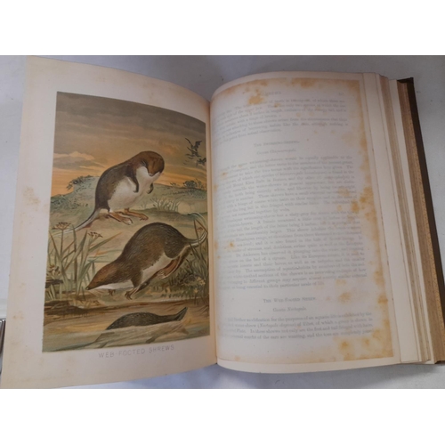 325 - First Edition 'The Royal Natural History' Edited by Richard Lydekker in 6 Volumes. Printed by Freder... 