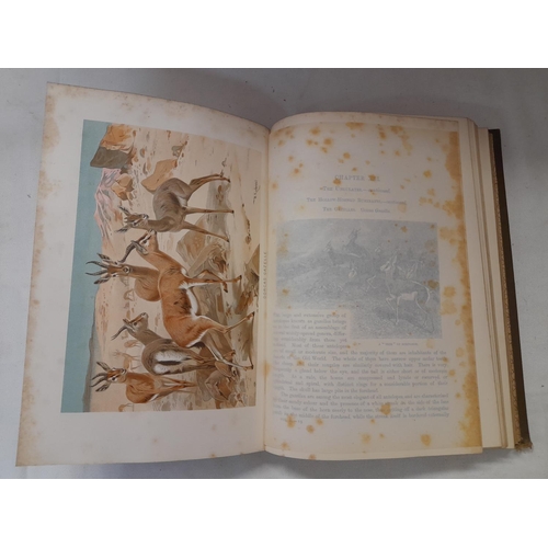 325 - First Edition 'The Royal Natural History' Edited by Richard Lydekker in 6 Volumes. Printed by Freder... 