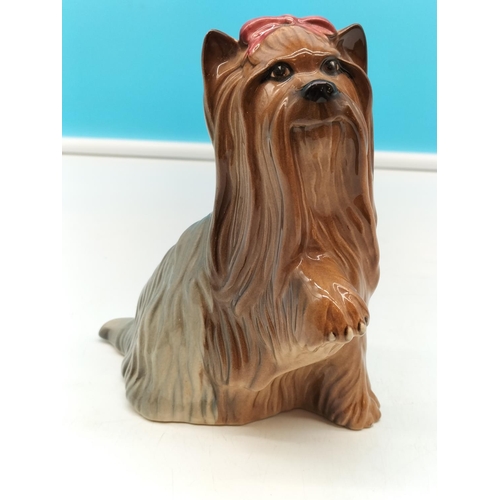 41 - Royal Doulton Figure of a Yorkshire Terrier with Bow. 14cm High x 13cm.