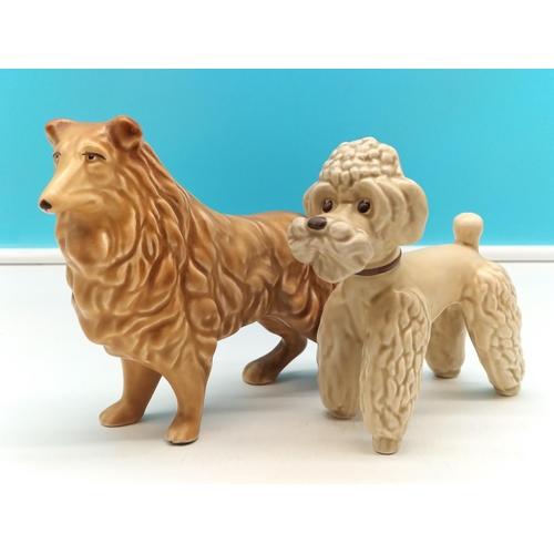 43 - Sylvac Dog Figures (2) - Poodle 3110 and Collie 1548. Largest 14cm (h) x 18cm.