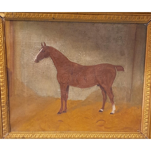 215 - Framed Victorian Oil on Board in the Style of Stubbs of a Standing Horse. Unsigned. 40cm x 35cm.