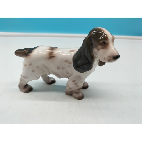 272 - Royal Copenhagen Figure of a Spaniel Dog. 8cm high, 11cm long.