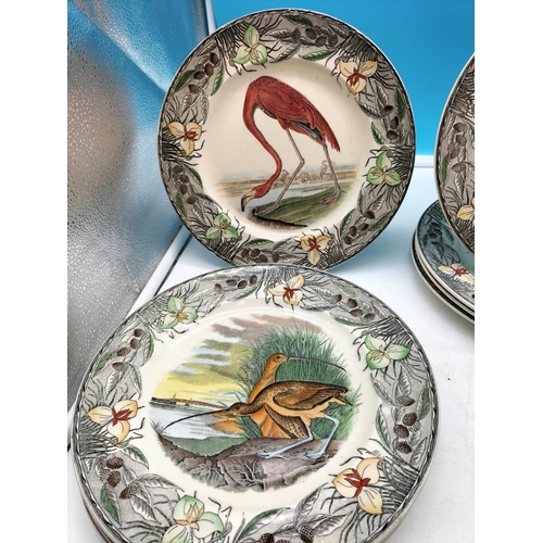 60A - Adams Set of 12 Plates 'The Birds of America' from Original Drawings by John James Audubon.