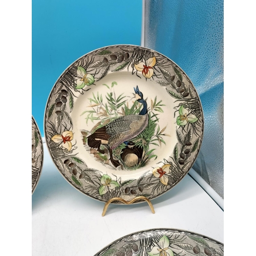 60A - Adams Set of 12 Plates 'The Birds of America' from Original Drawings by John James Audubon.