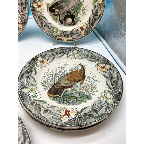 60A - Adams Set of 12 Plates 'The Birds of America' from Original Drawings by John James Audubon.