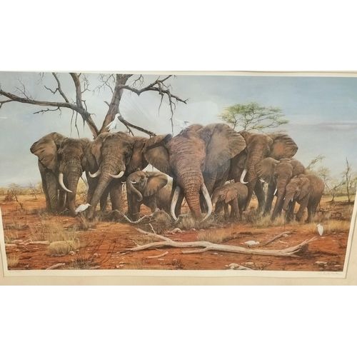 90A - Framed and Mounted W.E.Peterson Limited Edition Print 312/500 'Elephant Herd'. 95cm x 68cm. Collecti... 