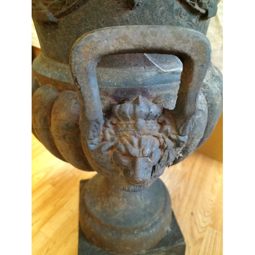 30A - Large 75cm Tall Antique Cast Iron Twin Handled Lion Head Garden Urn with Flower Swag Design. 57cm Di... 