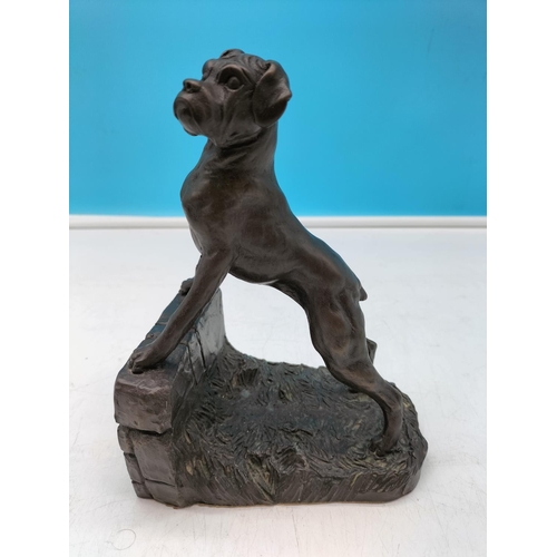 78 - Heredities Cold Cast Bronze Figure of a Boxer Dog. 19cm High, 13cm Long.