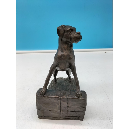 78 - Heredities Cold Cast Bronze Figure of a Boxer Dog. 19cm High, 13cm Long.