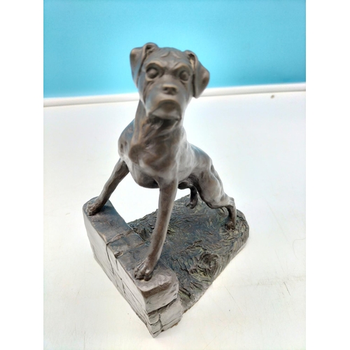 78 - Heredities Cold Cast Bronze Figure of a Boxer Dog. 19cm High, 13cm Long.