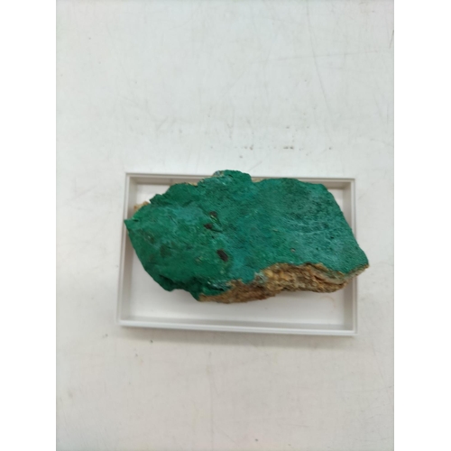 49 - (339) - Atacamite Found at Dooneen Mine, Ireland