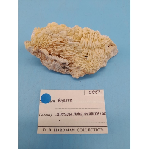 89 - (623) - Collection Of 6 Minerals To Include Lignite, Argonite, Coral, Charmite, Barite And Torridon