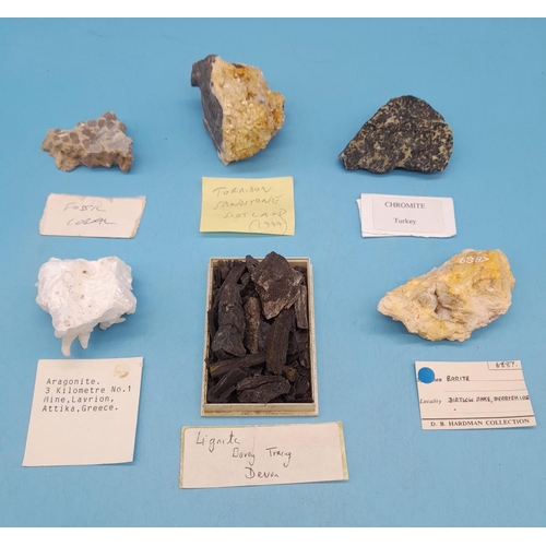 89 - (623) - Collection Of 6 Minerals To Include Lignite, Argonite, Coral, Charmite, Barite And Torridon