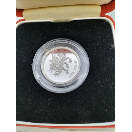 151 - 1995 United Kingdom Silver Proof One Pound Coin in Case