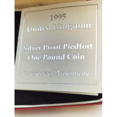 151 - 1995 United Kingdom Silver Proof One Pound Coin in Case