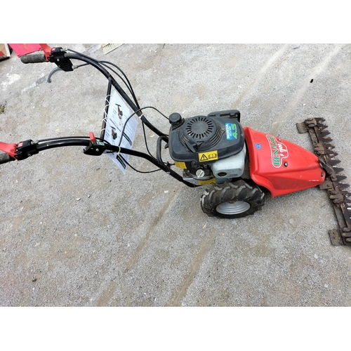 253 - Benassi Petrol F 1900H Hay/Grass Cutter.