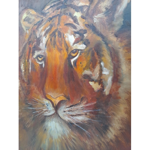 435 - Framed Oil on Board Painting 'Tiger' by Irene Alger. 58cm x 47cm.