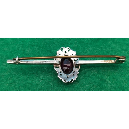 476 - c1900's Silver and Amethyst Tie Pin