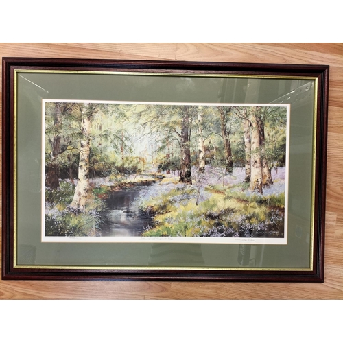 568 - Framed and Glazed Limited Edition 348/500 Print 'Bluebells' Skelwith Fold by Brian Eden. Artist Penc... 