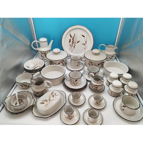 489 - Large Collection of Midwinter Stonehenge 'Wild Oats' Pattern  Dinner and Tea Ware (42 Pieces) to inc... 