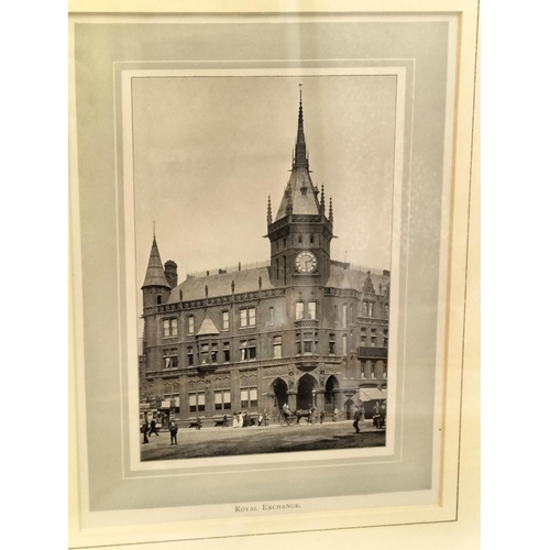 239 - Collection of 6 Framed Pictures. Largest 35cm x 30cm.