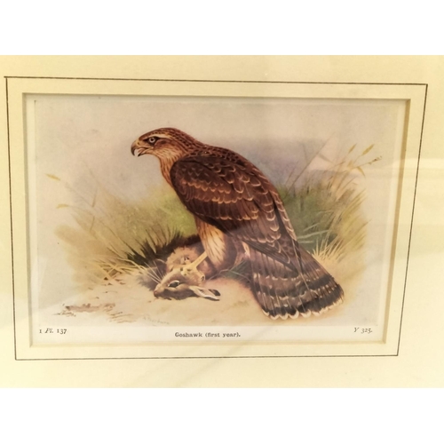 239 - Collection of 6 Framed Pictures. Largest 35cm x 30cm.