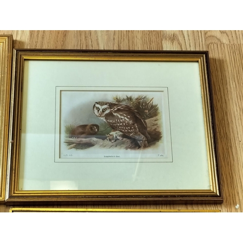 534 - Collection of 6 Framed Pictures. Largest 30cm x 25cm.