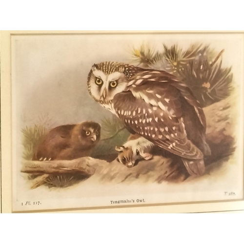 534 - Collection of 6 Framed Pictures. Largest 30cm x 25cm.