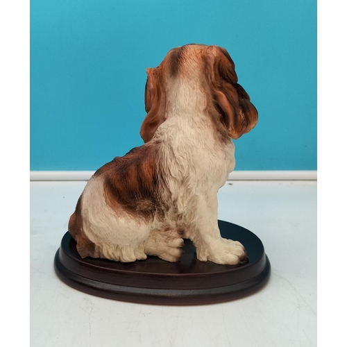 193 - Juliana Collection 17cm Resin Figure of a King Charles Spaniel.