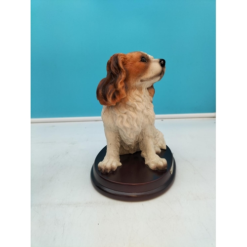 193 - Juliana Collection 17cm Resin Figure of a King Charles Spaniel.