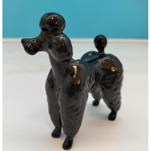 205 - Beswick Gloss Figure of a Black Poodle Dog. 10cm High x 9cm.