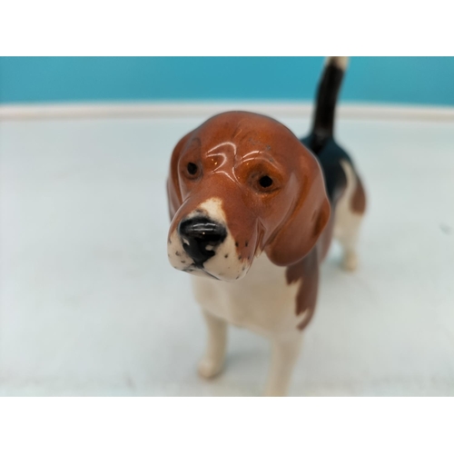 163 - Beswick Figure of a Beagle 'Champion Wendover Billy'. 14cm x 13cm.