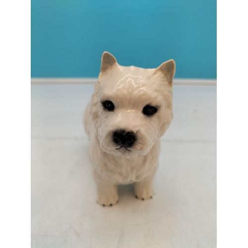 169 - Beswick Figure of a Westie Dog. 15cm x 12cm.