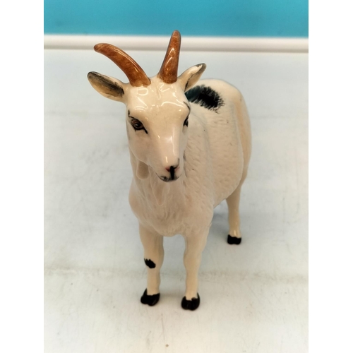 181 - Royal Doulton Figure of a Nigerian Pot Bellied Pygmy Goat (1st Quality) plus Royal Doulton Palmino F... 