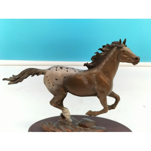 184 - Franklin Mint Bronze Appaloosa Horse Figure 'Thunder on the Prairie' 20cm x 20cm.