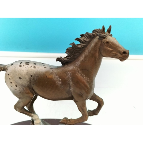 184 - Franklin Mint Bronze Appaloosa Horse Figure 'Thunder on the Prairie' 20cm x 20cm.