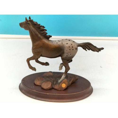 184 - Franklin Mint Bronze Appaloosa Horse Figure 'Thunder on the Prairie' 20cm x 20cm.