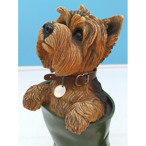 367 - Leonardo Figure of Yorkshire Terrier in Wellington. 39cm High x 27cm.