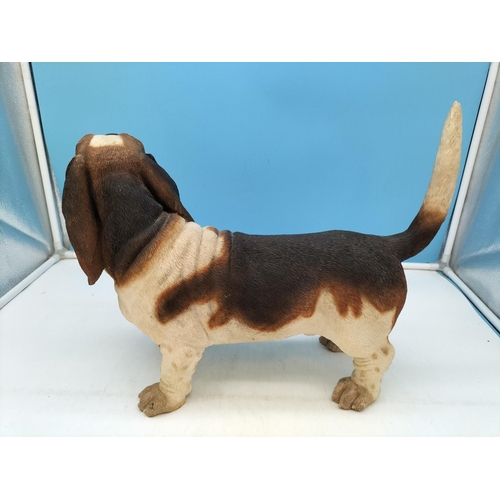 38 - Large Resin Bassett Hound Figure. 34cm High, 44cm x 13cm.