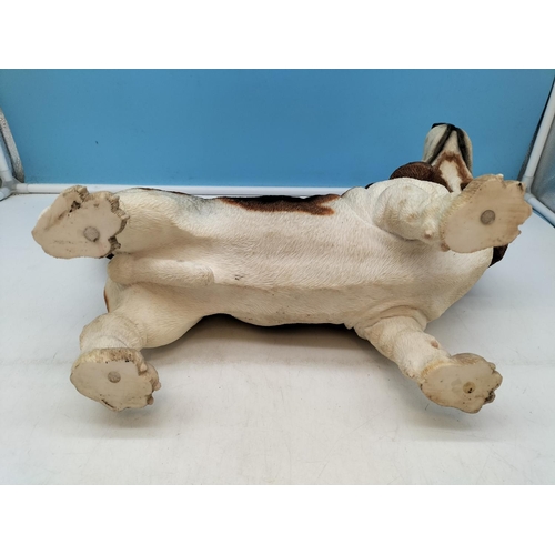 38 - Large Resin Bassett Hound Figure. 34cm High, 44cm x 13cm.