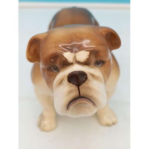 400 - Pottery Figure of a Bulldog. 13cm High x 20cm.