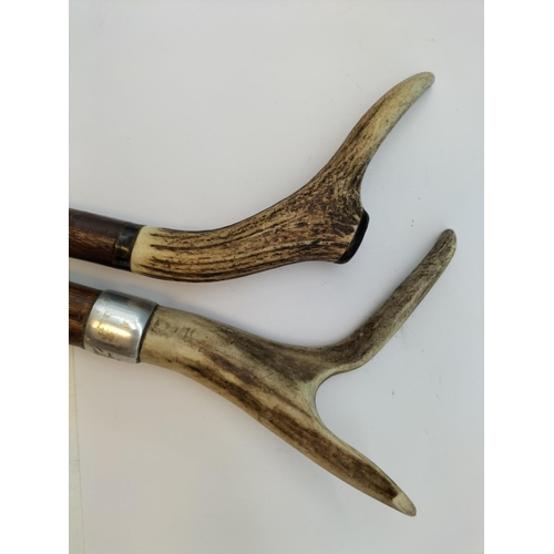 612 - Antler Handle Walking Sticks (2). Longest 121cm.