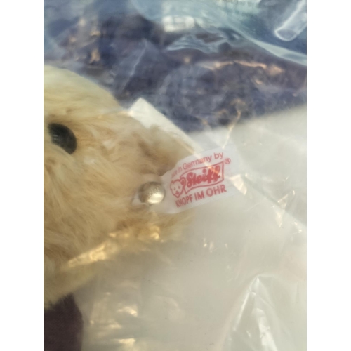 144 - Unopened Steiff 'Doctor Who' Bear with Dust Bag 664571. To Celebrate 50 Years of Doctor Who. 26cm Ta... 