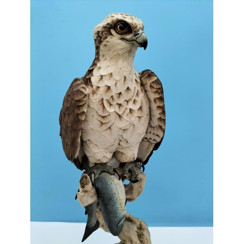 4 - Sherratt & Simpson 39cm Figure of a Bird of Prey - Osprey with Fish.