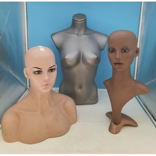 74 - Mannequin Torso (59cm Tall) plus Head Mannequins (2).