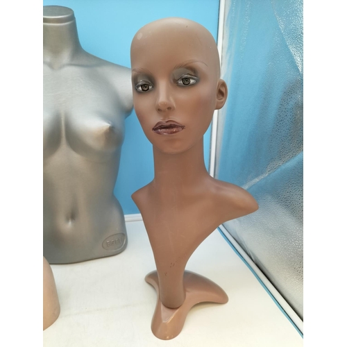 74 - Mannequin Torso (59cm Tall) plus Head Mannequins (2).