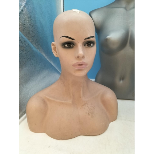 74 - Mannequin Torso (59cm Tall) plus Head Mannequins (2).