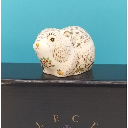 Lot 23        